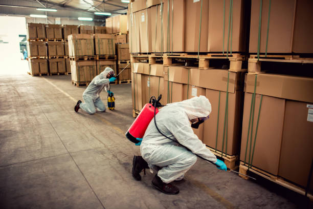 Best Best Pest Control Near Me  in Apache Junction, AZ