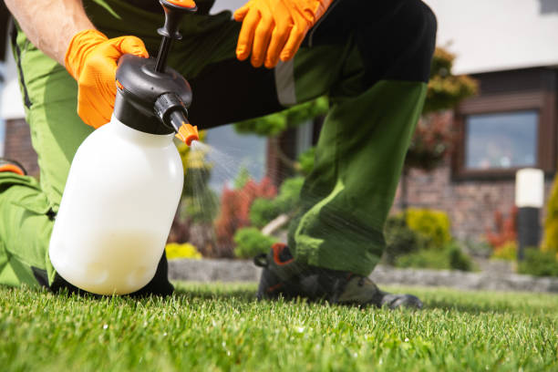 Pest Control for Restaurants in Apache Junction, AZ