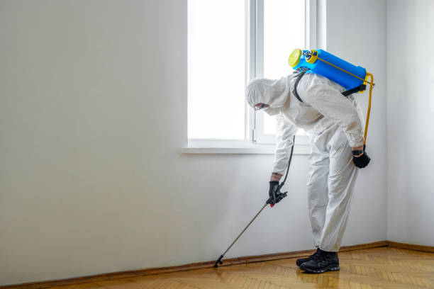 Wildlife Control Services in Apache Junction, AZ