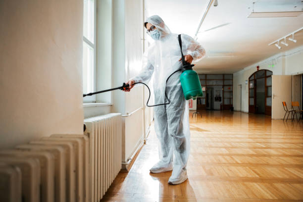 Trusted Apache Junction, AZ Pest Control Experts